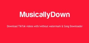 MusicallyDown-Download-Video-TikTok-Tanpa-Watermark-Gampang